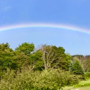 Meet your Posher, Becky